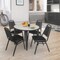 Regency Kahlo Round Table & Chair Sets, 48 W, 48 L, 29 H, Wood, Metal, Vinyl Top, Maple TPL48RNDPLBK29BK - alternate 1